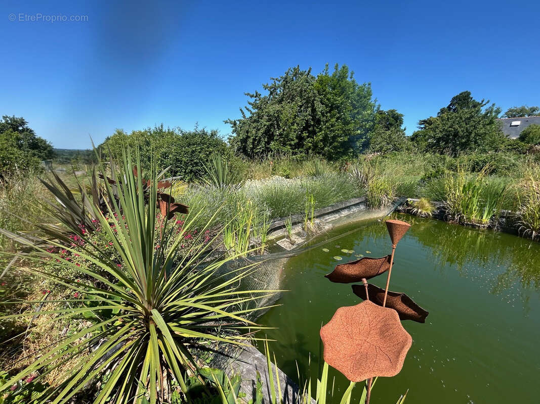 Maison à BRISSAC-QUINCE