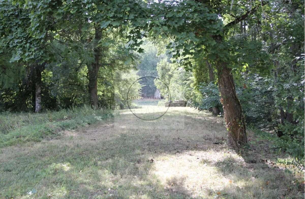 Maison à L&#039;ISLE-SUR-SEREIN