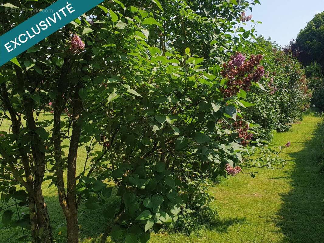 Photo 9 - Maison à AUFFAY