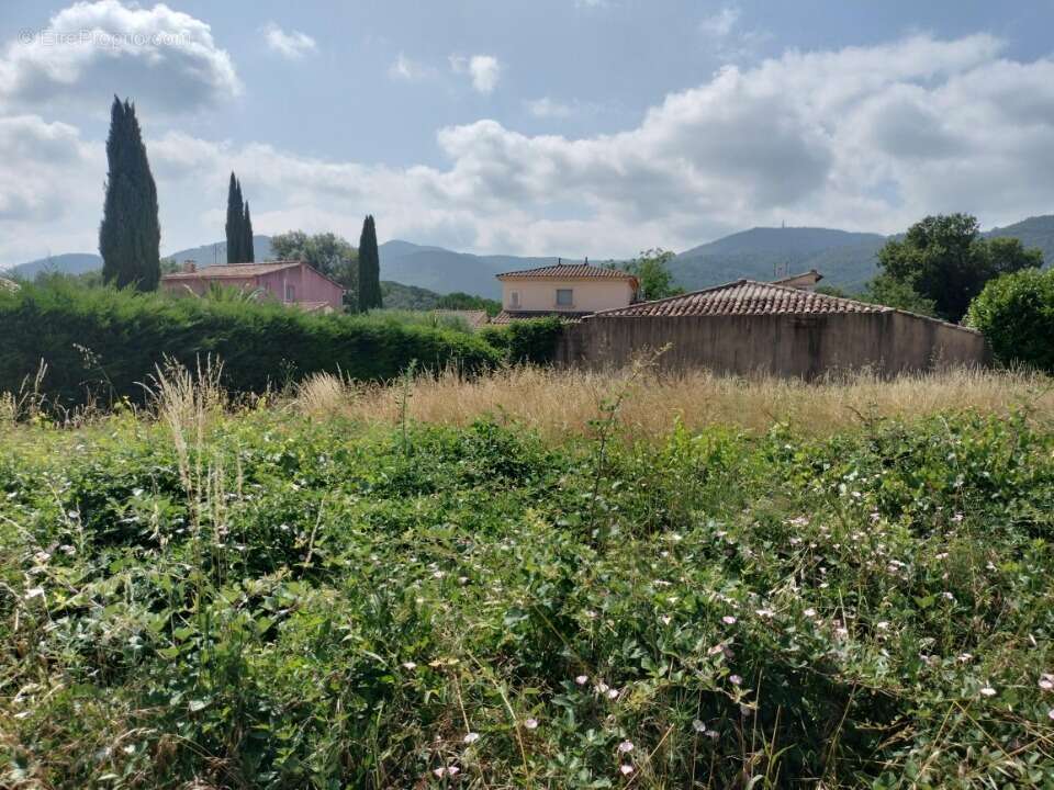 Terrain 816 m² à Gonfaron  - photo 3