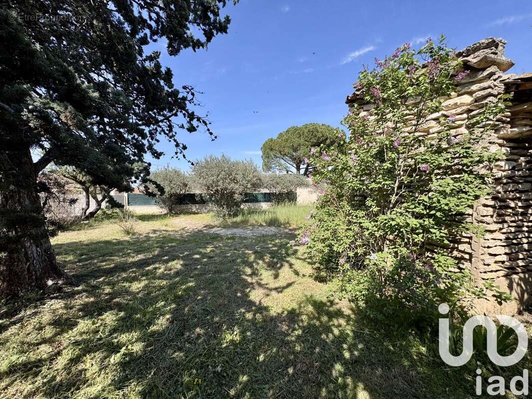 Photo 4 - Terrain à CAVAILLON