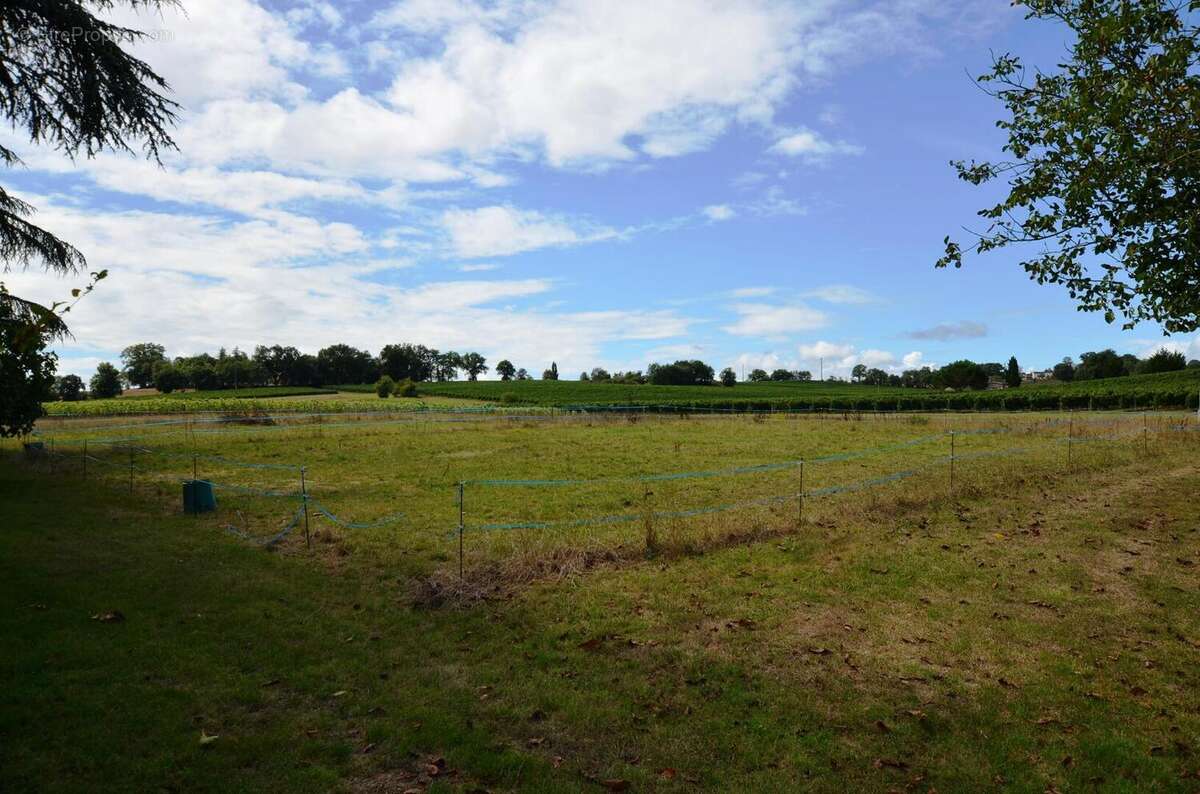 043 - Maison à EAUZE