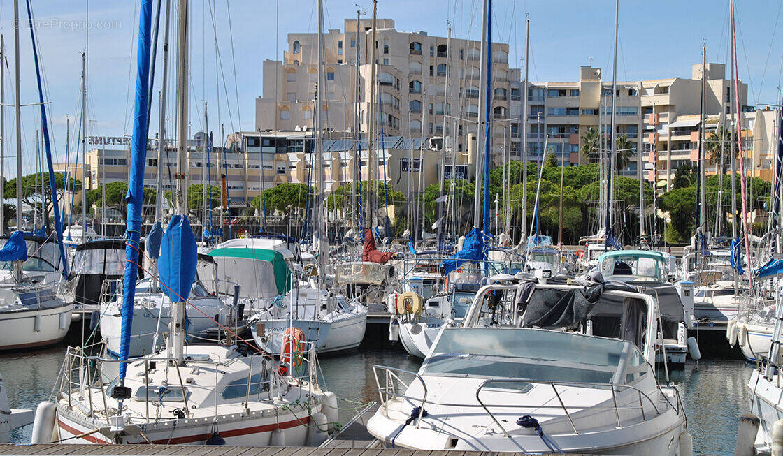 Commerce à MAUGUIO