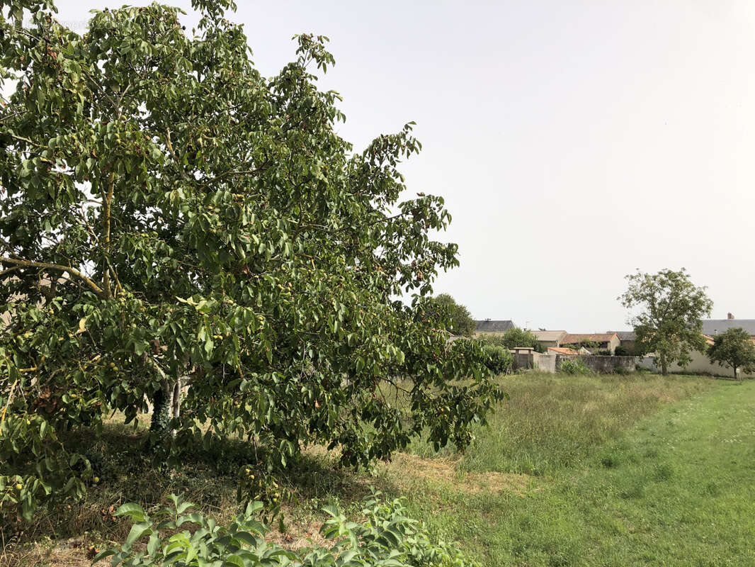Terrain à SAINT-JEAN-DE-SAUVES