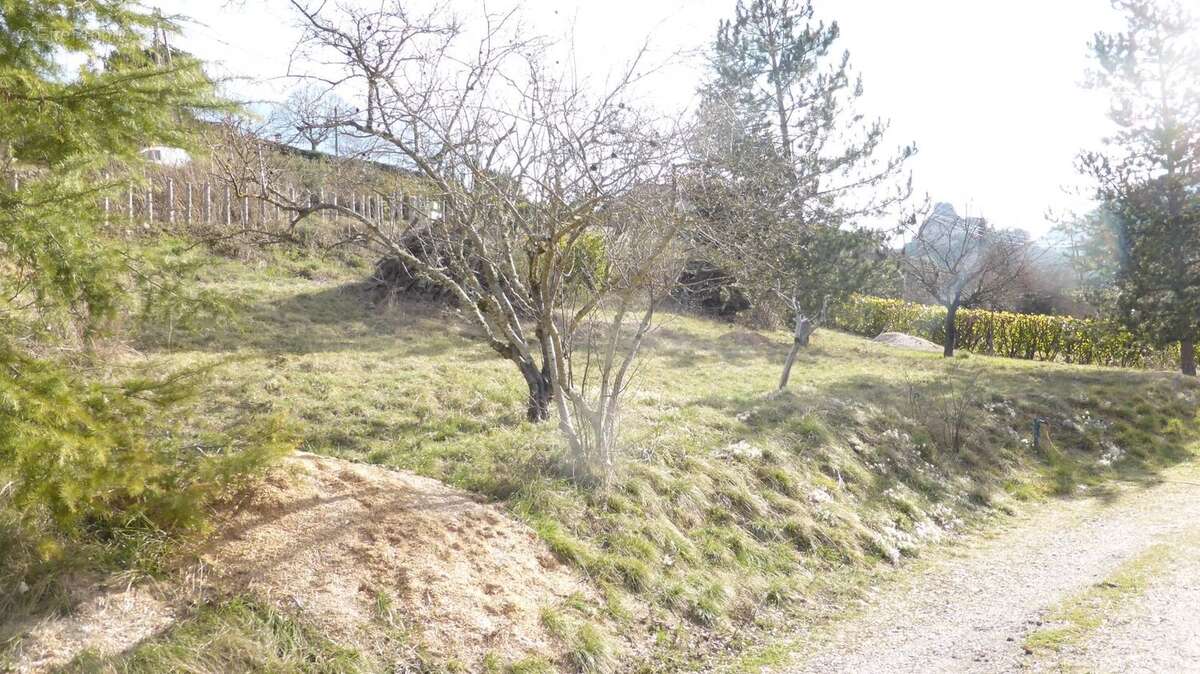 Terrain à MOSTUEJOULS