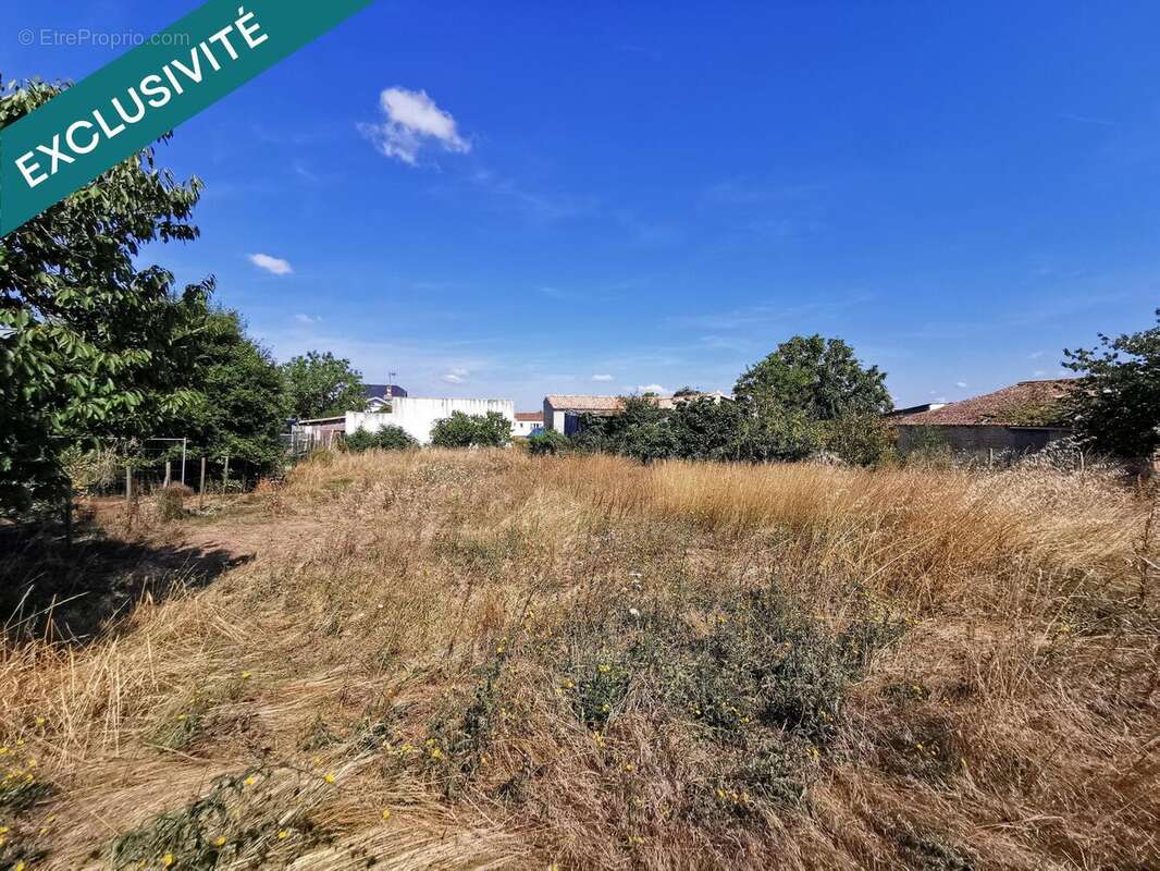 Photo 2 - Maison à LA GREVE-SUR-MIGNON