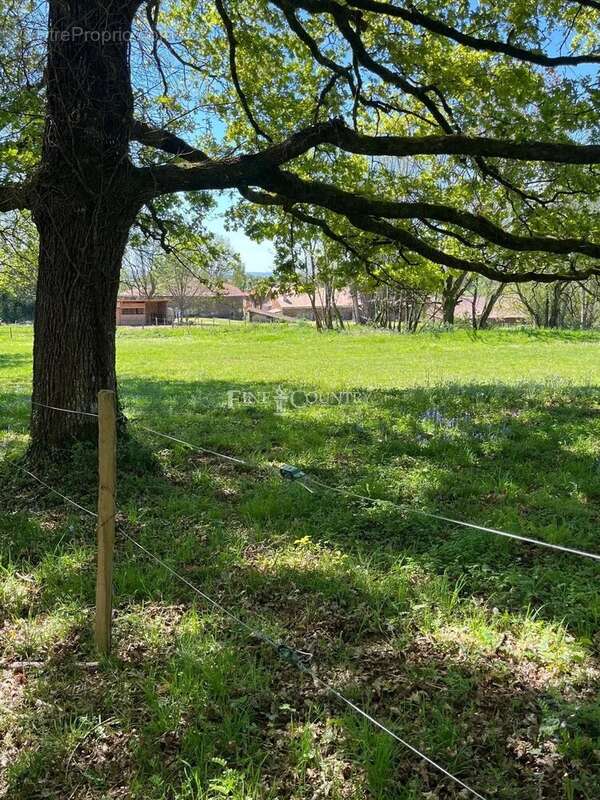 Maison à MAZEROLLES