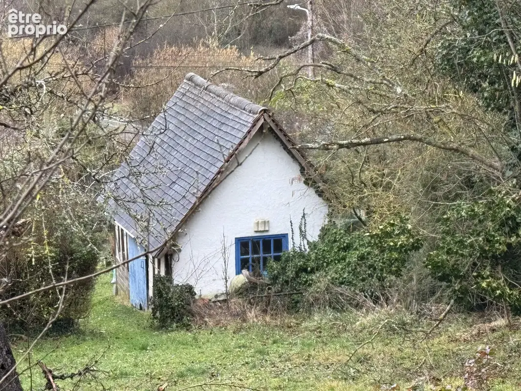 n°2