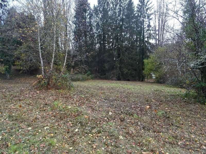 A panazol beau terrain de 8182 m² avec cu dans une impasse - photo 6