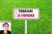 Terrain à DAVEZIEUX