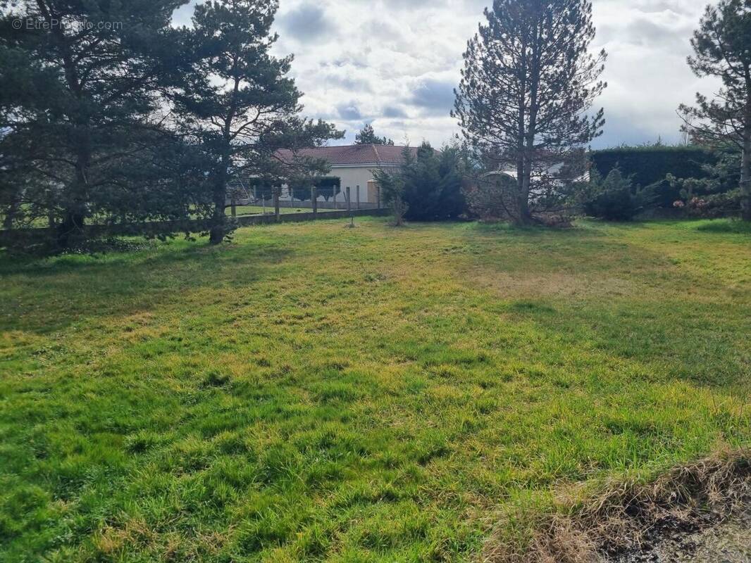 Terrain à SAINTE-AGATHE-LA-BOUTERESSE