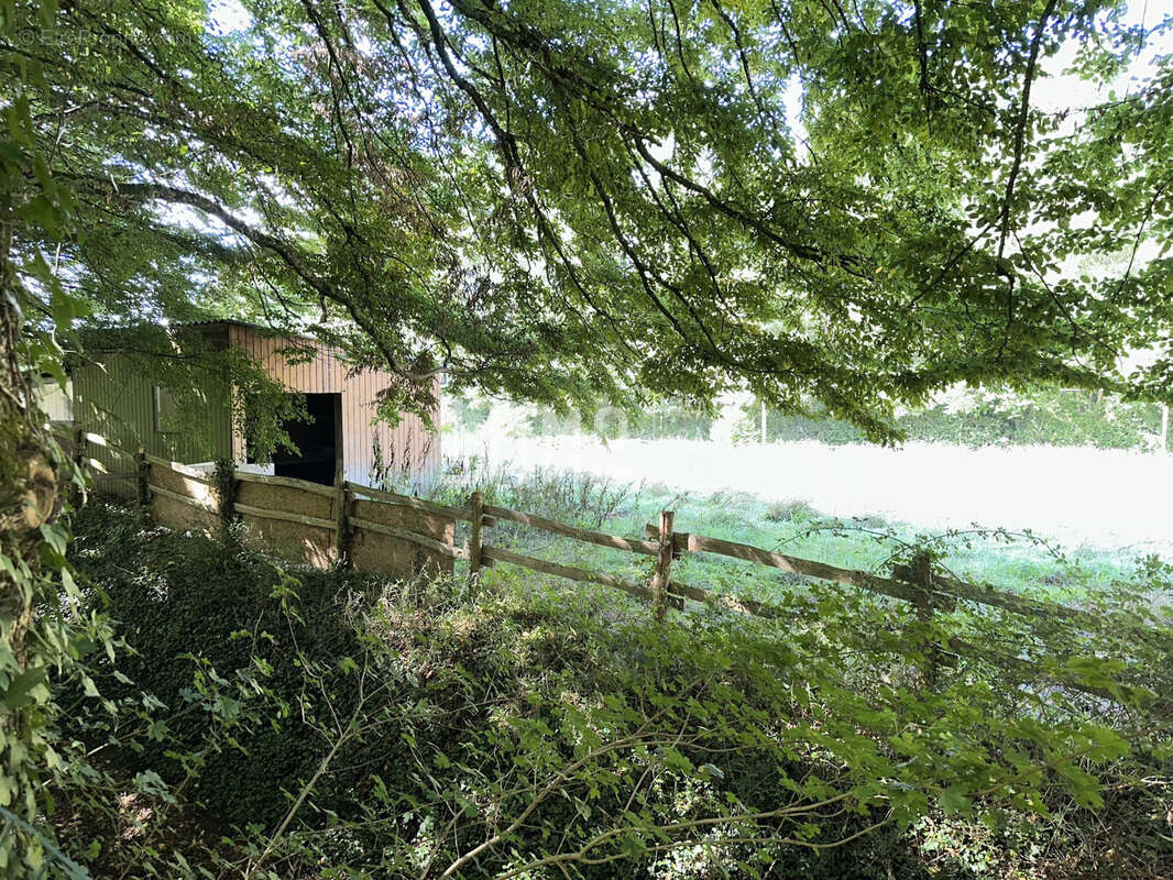 Terrain à MONTREUIL-LE-HENRI