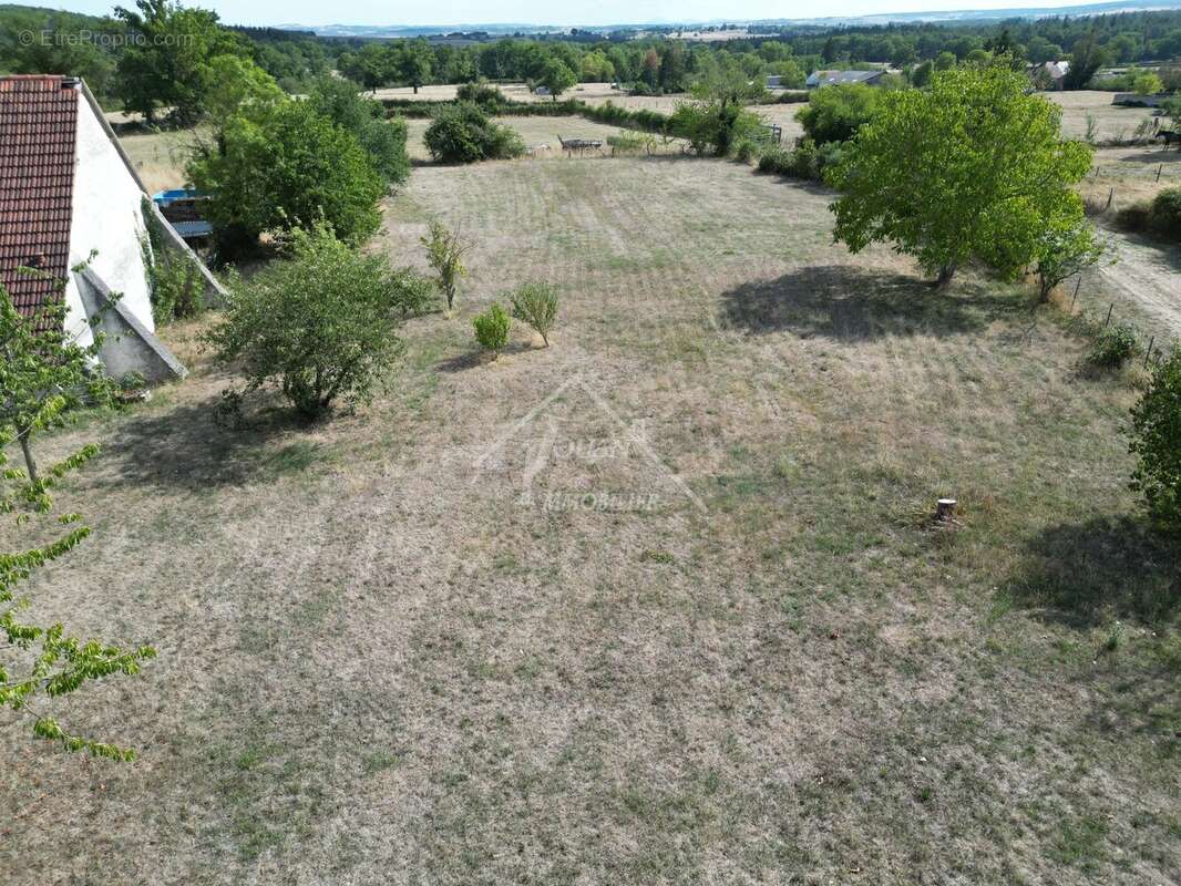 Terrain de 2334 m2 - photo 3