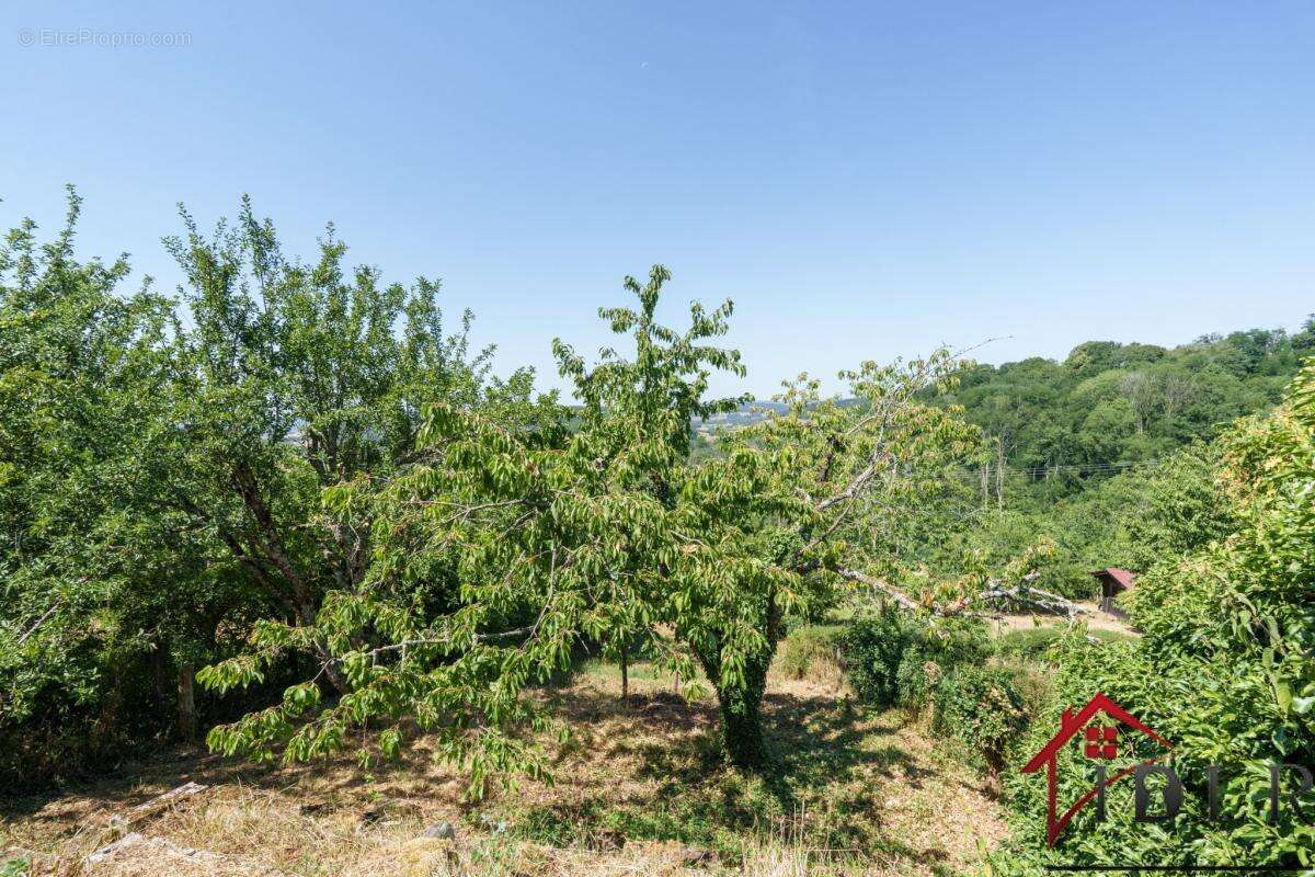 RARE   Maison de Village avec Vue et Potentiel à Coiffy-le- - photo 16