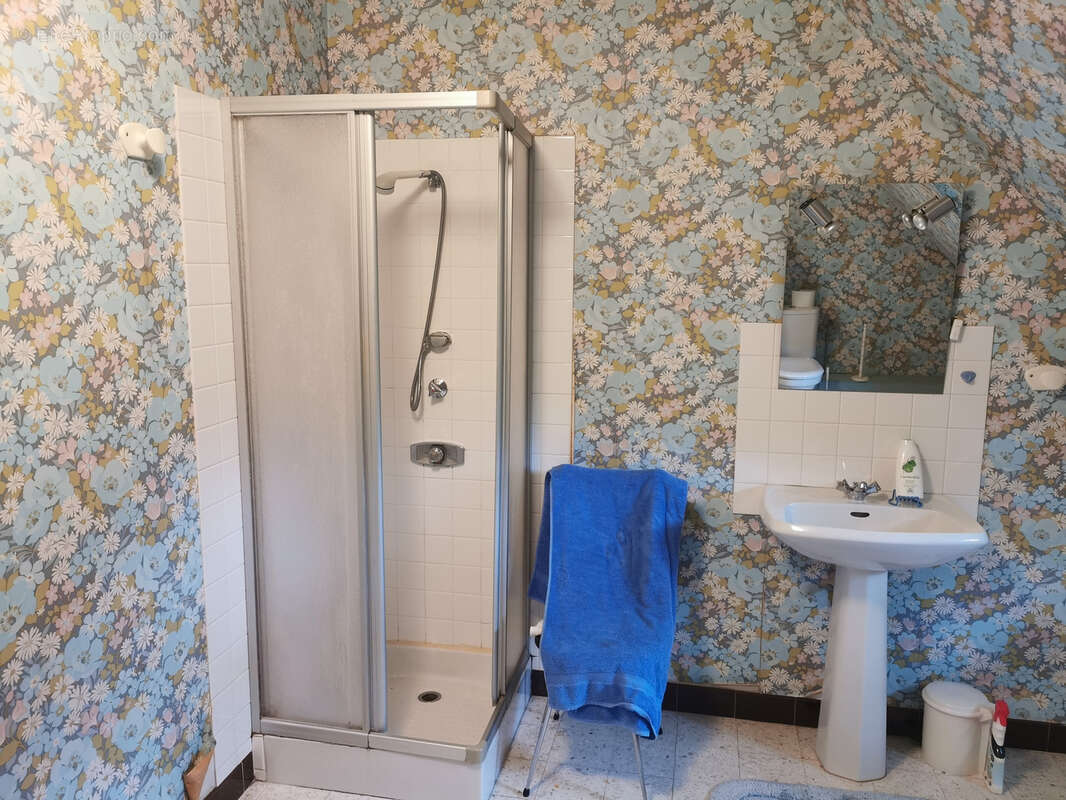 Maison à MENNETOU-SUR-CHER