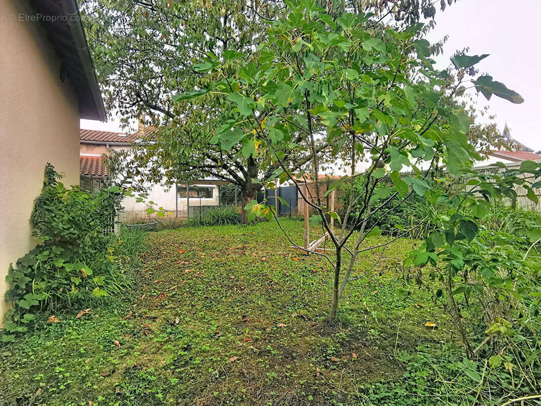 Maison à AMBERIEUX-EN-DOMBES