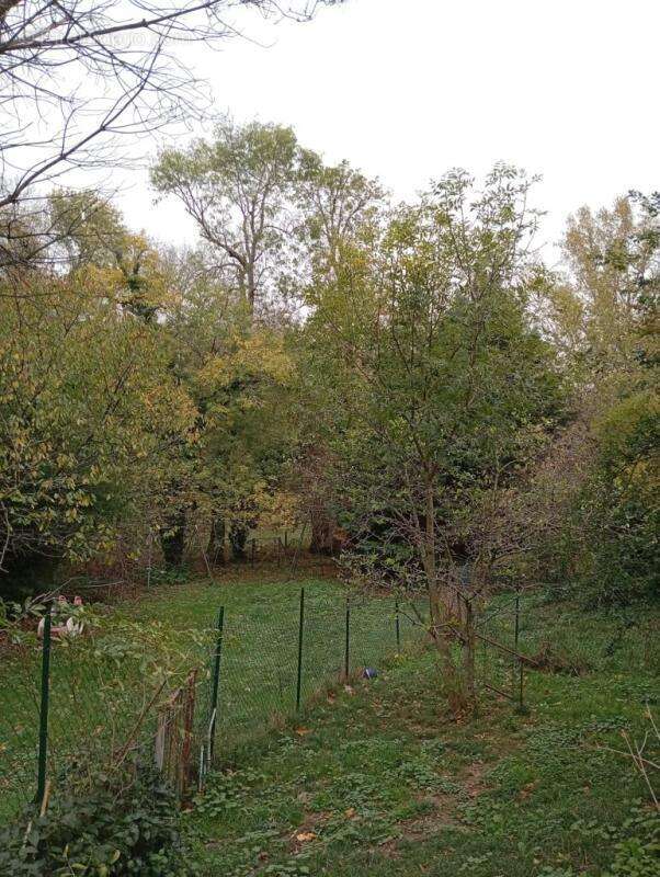 Maison à AIGUEFONDE