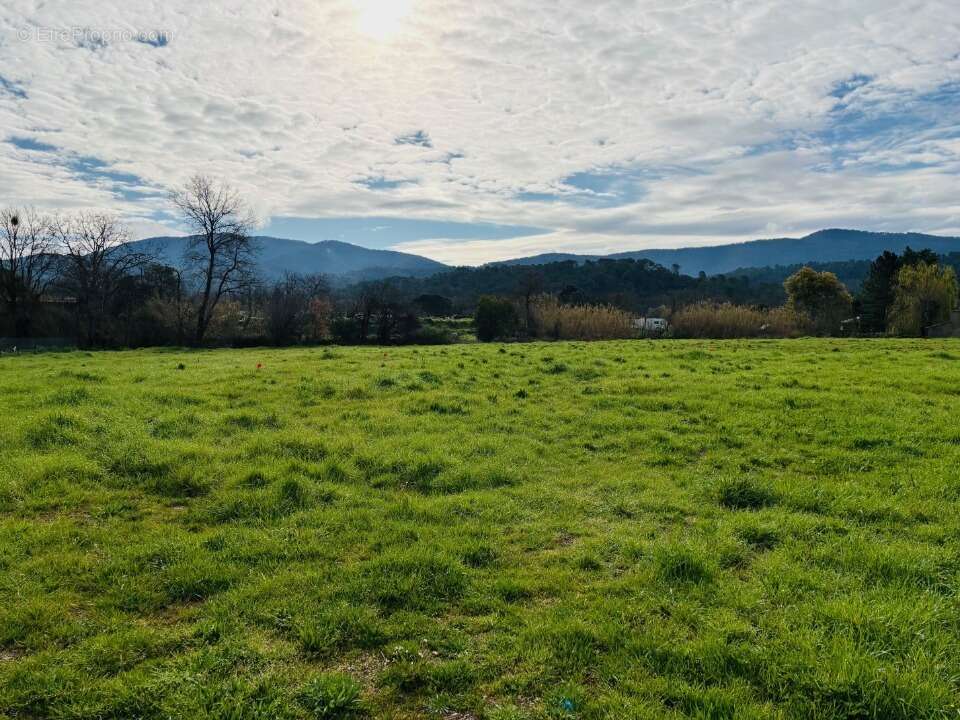 Terrain à PIGNANS