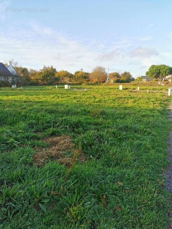 Photo 1 - Terrain à PERROS-GUIREC
