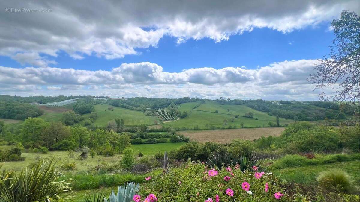 Photo 4 - Maison à MOISSAC