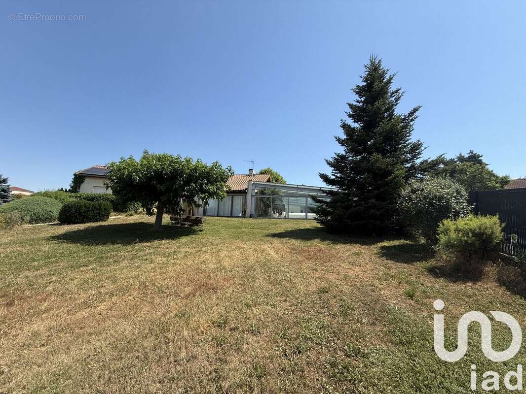 Photo 4 - Maison à BAS-EN-BASSET