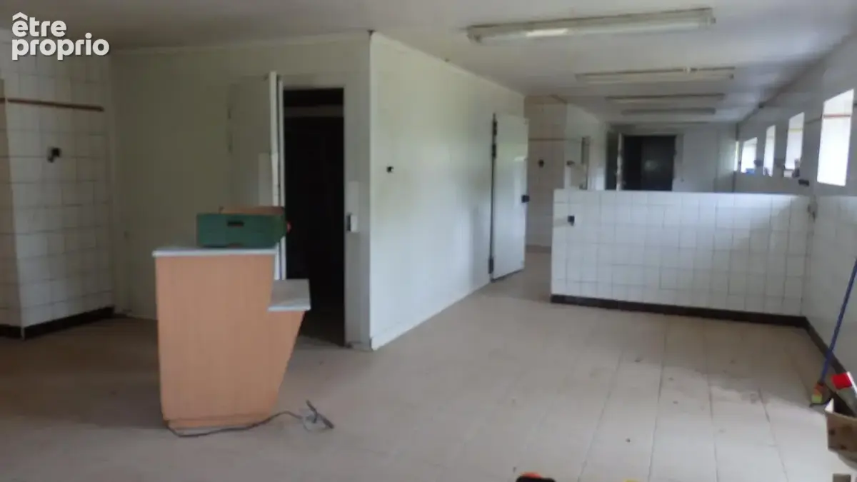propriété de caractère avec dépendances en pierres et potentiel professionnel - photo 14
