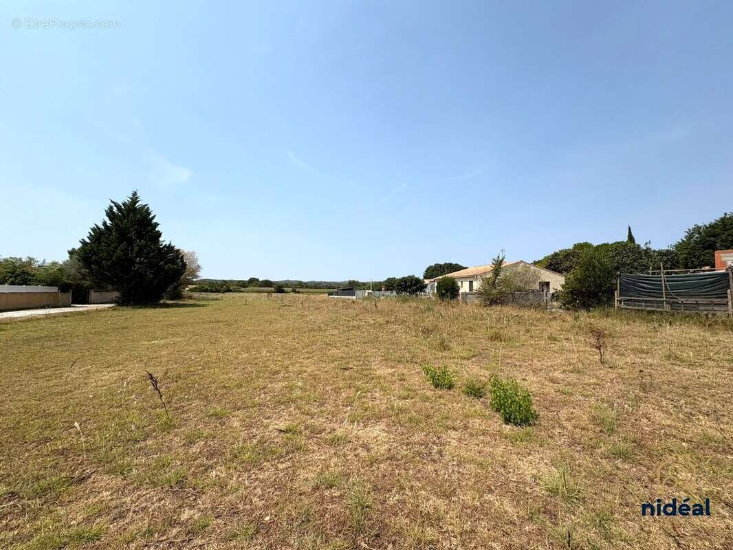 Terrain 810 m² à Saussines  - photo 2
