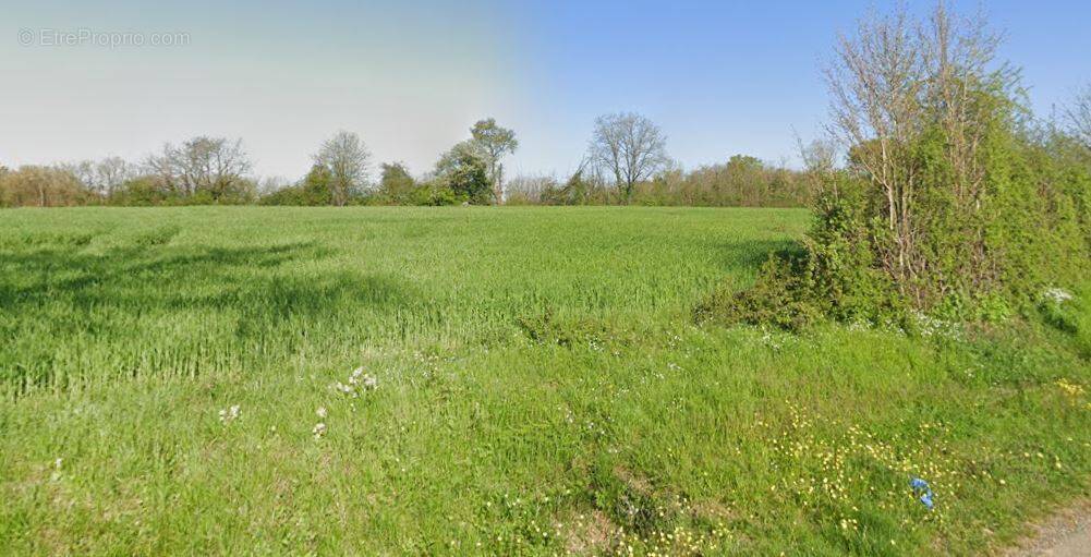 Terrain à LATHUS-SAINT-REMY