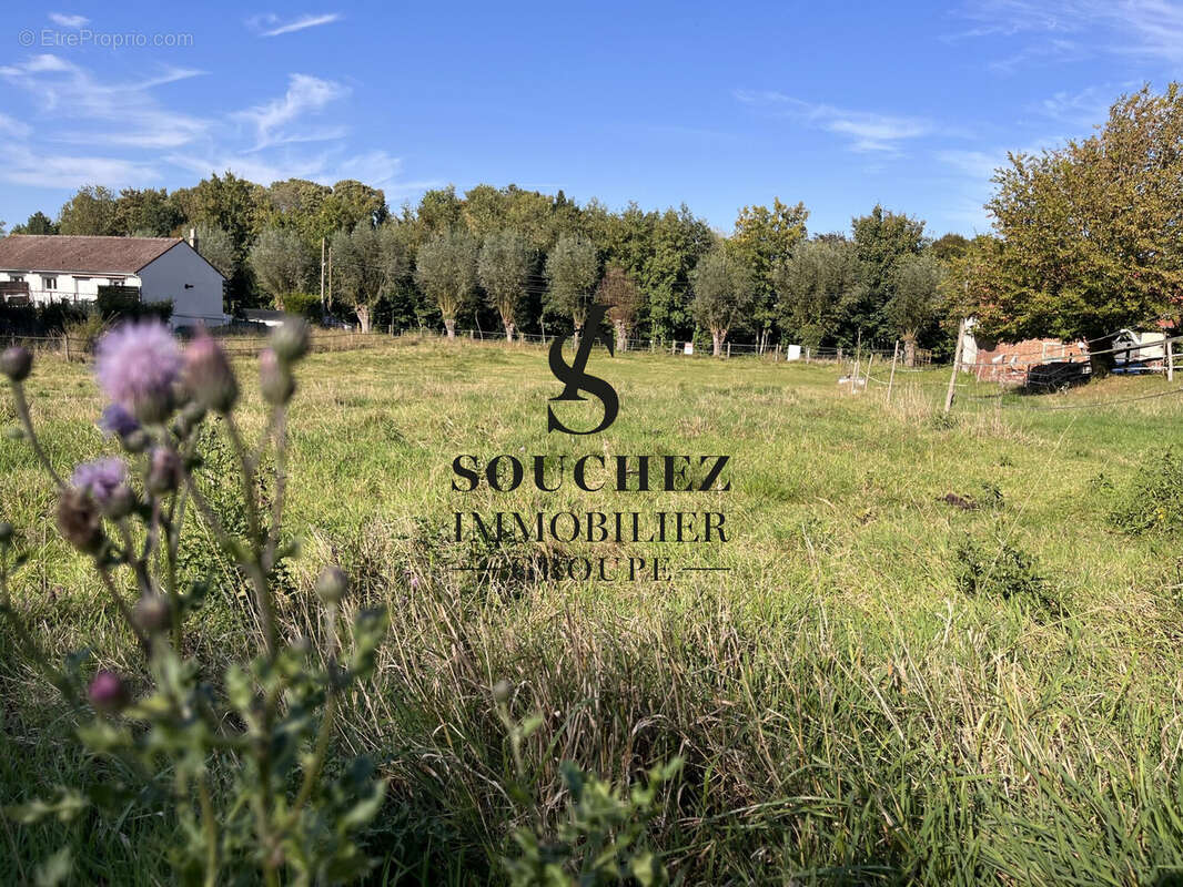 Terrain à BERLES-MONCHEL