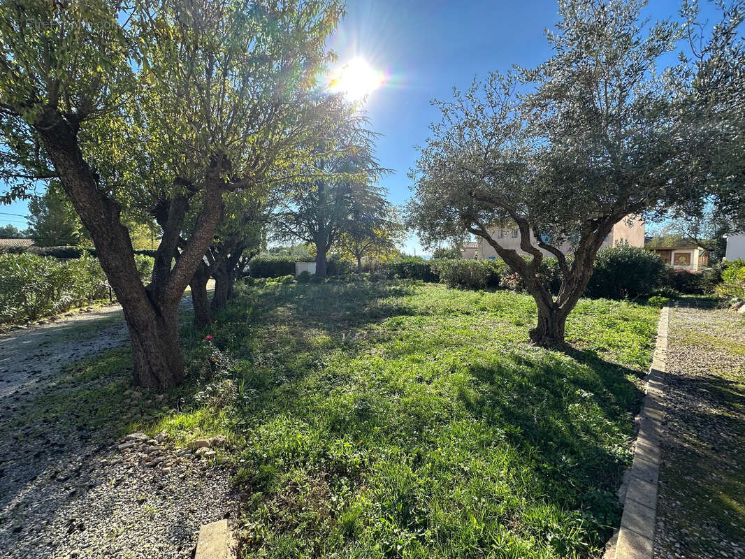 Terrain à PUGET-VILLE