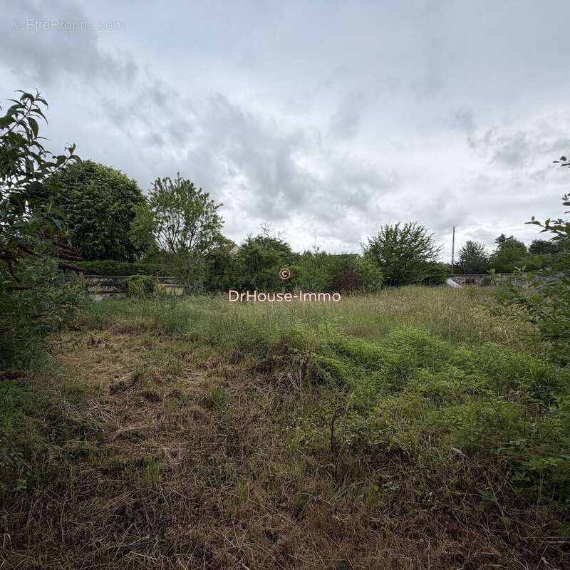 Terrain 980 m² à vendre à Limay (78520) - photo 14