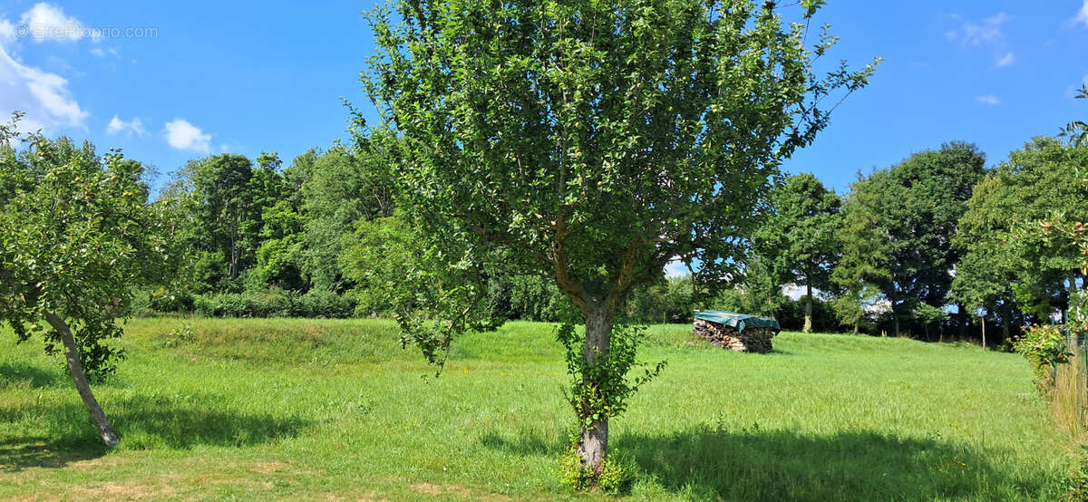 Terrain à SAINT-MICHEL-SUR-TERNOISE