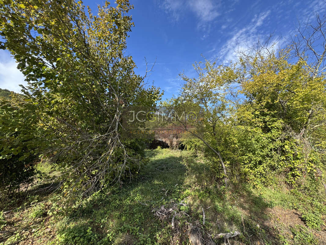 Terrain à CARNOULES