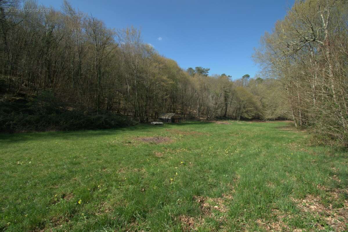 SAINT GENIES (24), vente propriété 277 m2 sur 4 ha, gîtes en activité - photo 11