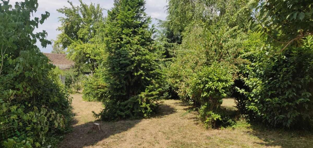 Maison de plain-pied, garage et jardin à vendre à Rioux (17) - photo 45