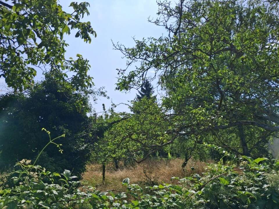 Terrain à SAINT-LEU-LA-FORET