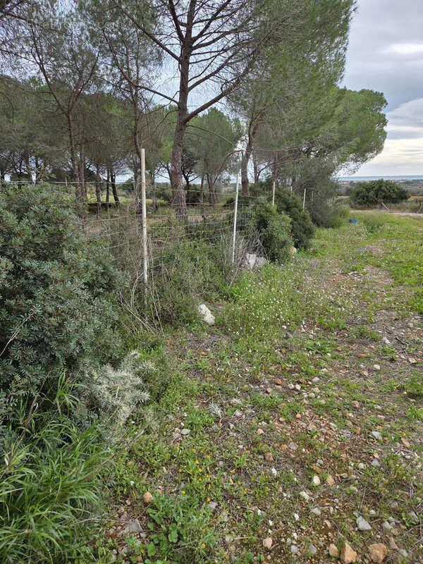 Terrain à FRONTIGNAN