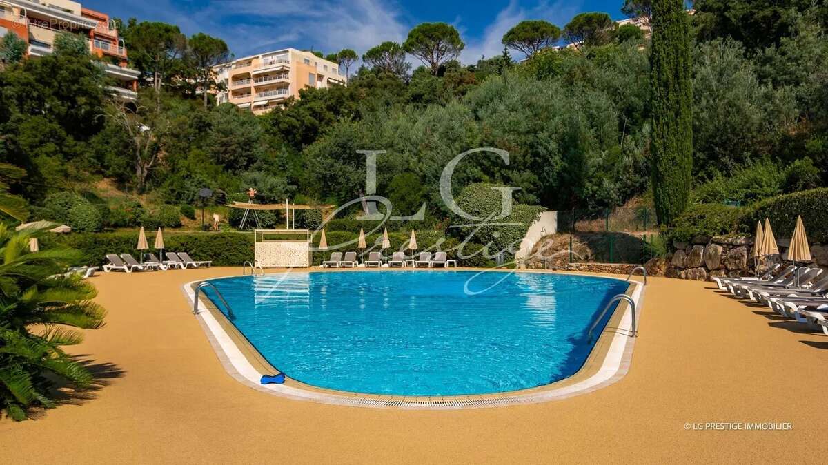 Vue degagee sur verdure et piscine - photo 10