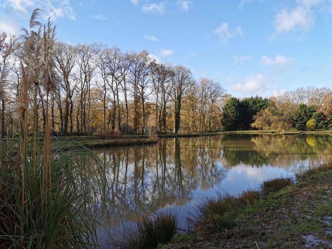 Terrain à DINGE
