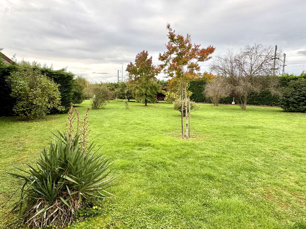 Maison à TOULON-SUR-ALLIER