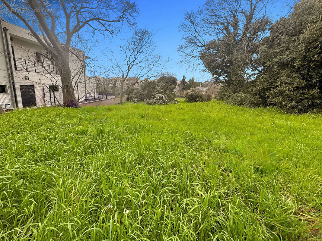 Terrain à MARSEILLE-13E