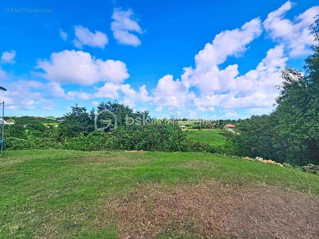 Maison à SAINTE-ANNE