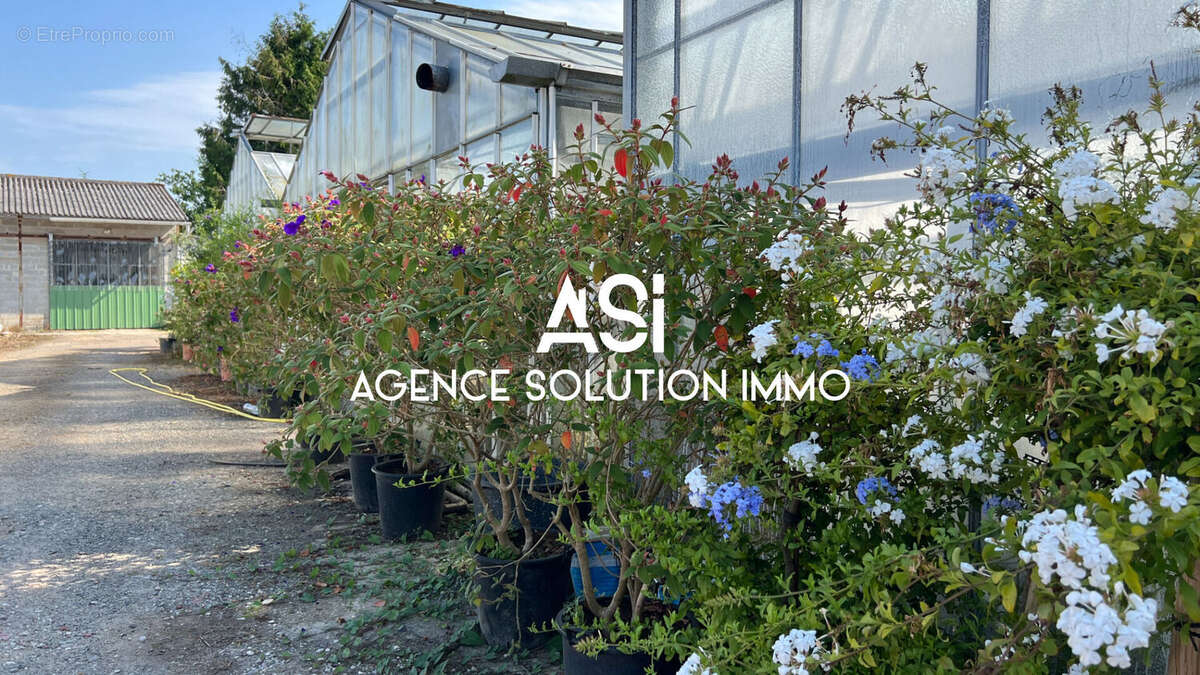 Terrain à LA FERTE-MACE