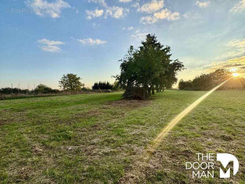 Terrain à DUN-SUR-AURON