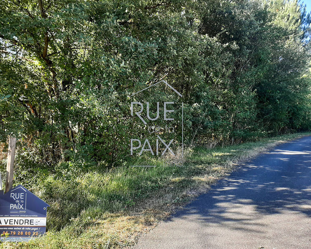 Terrain à LEIGNE-SUR-USSEAU