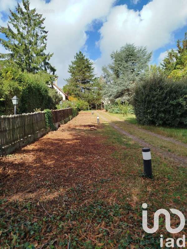 Photo 6 - Terrain à VERRIERES-LE-BUISSON