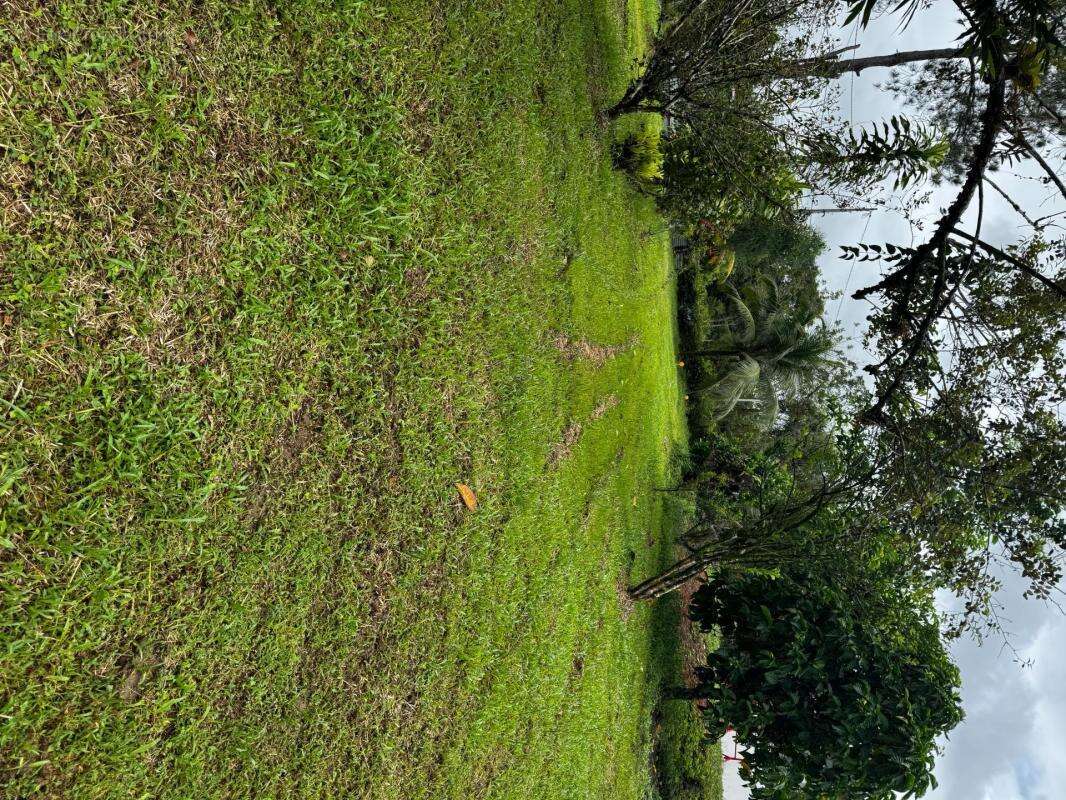Terrain à MATOURY