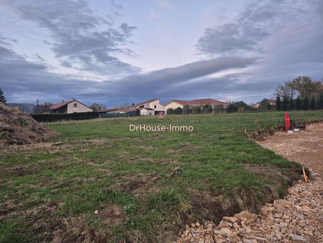 Terrain à BAS-EN-BASSET