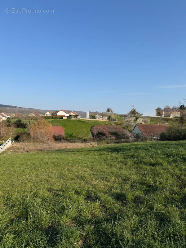 Terrain à ARBOIS