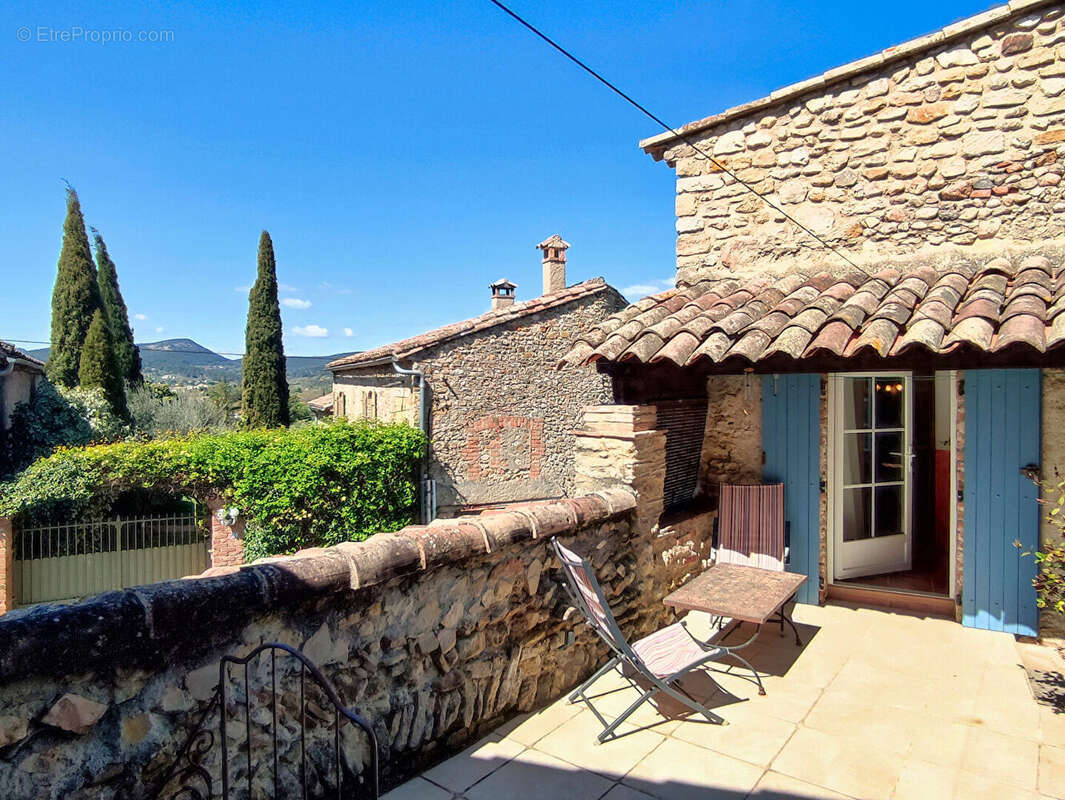 Maison de village de caractère cour, terrasses et jardin - Montmoirac - photo 11